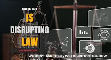 Revolutionizing Justice: The Impact of Big Data on Law