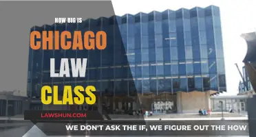 Exploring the Size and Scope of Chicago's Legal Education Landscape