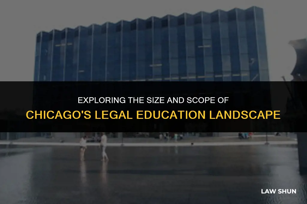 how big is chicago law class