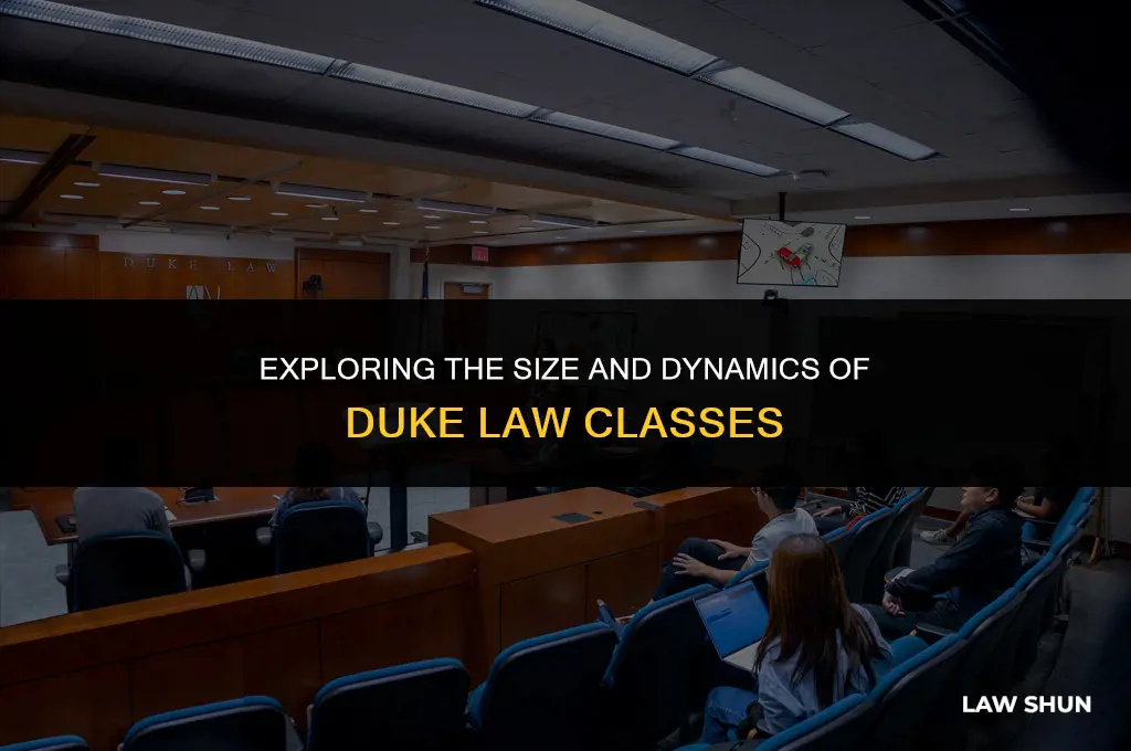 how big is duke law class