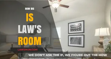 Exploring the Expansive Realm of Law: How Big is Law's Room?