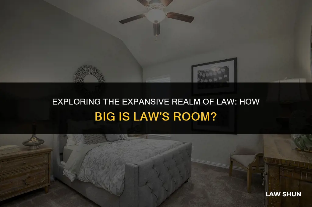 how big is law