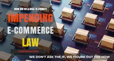 China's E-Commerce Law: A Game-Changer for Online Retail?