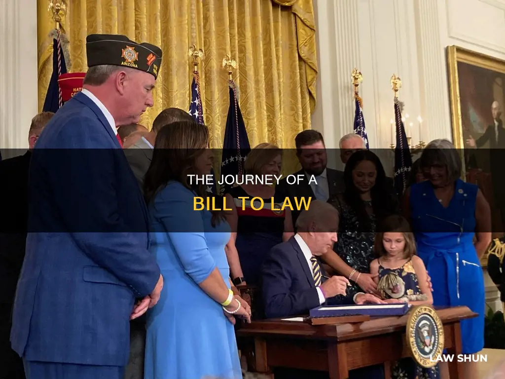 how bill become a law who finally signs the law