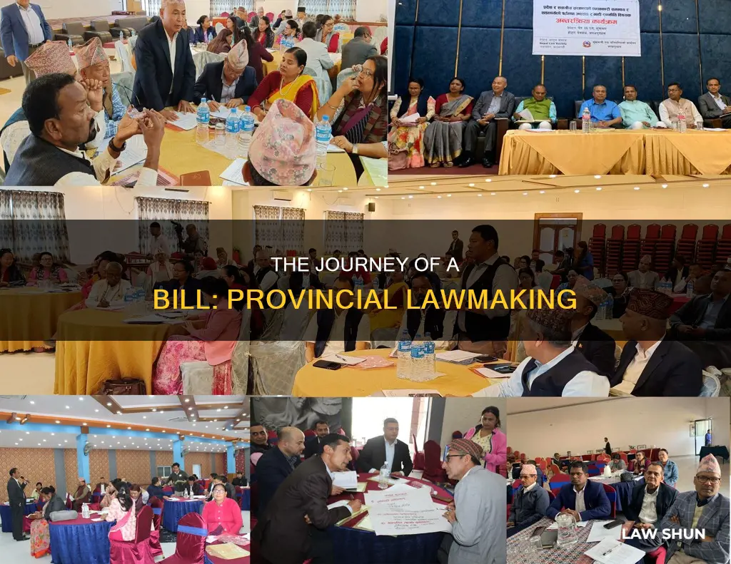 how bill become law whole provincial