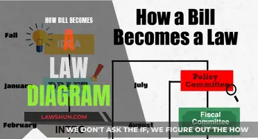 Understanding the Process: Bill to Law Diagram