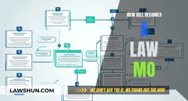 Understanding the Process: Bills to Laws in MO