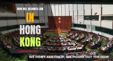 Hong Kong's Legislative Journey: Bills to Laws