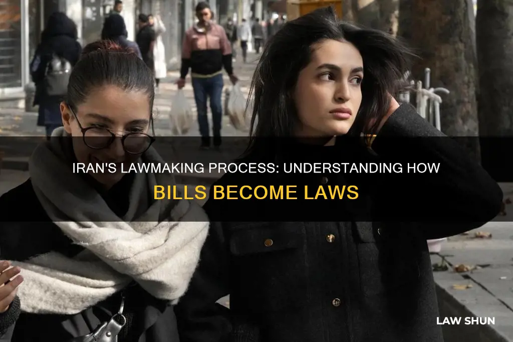 how bill becomes law iran