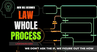 The Legislative Process: How Bills Become Laws