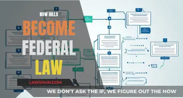 Understanding the Process: Bills to Federal Laws