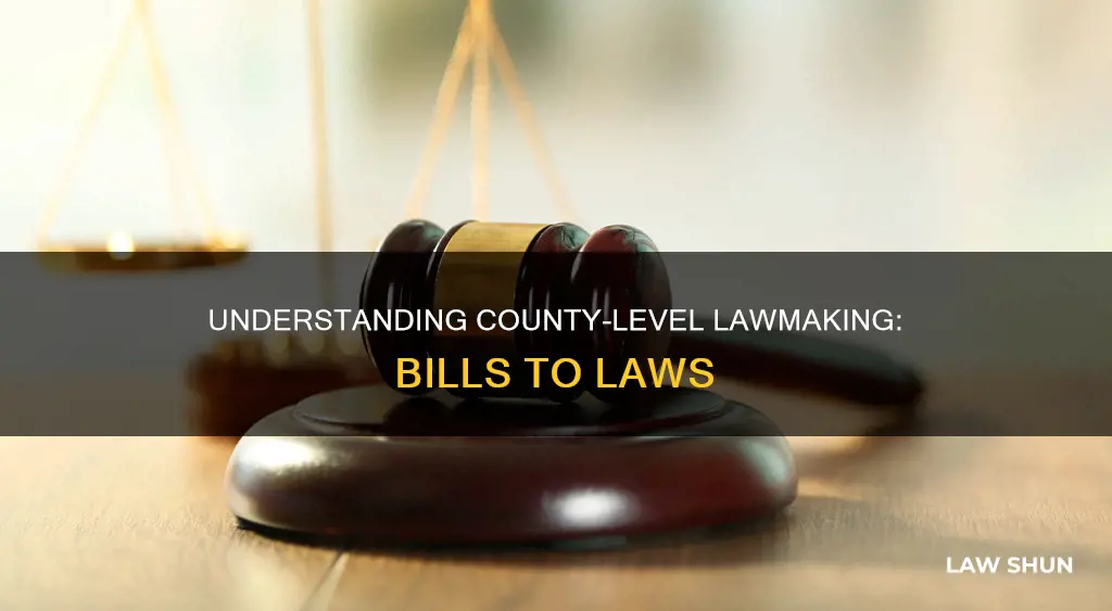 how bills become law at a county leavel