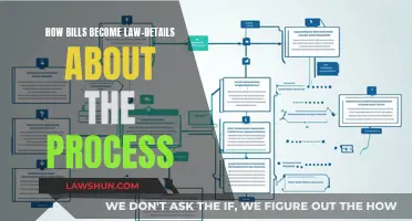 The Legislative Process: How Bills Become Law