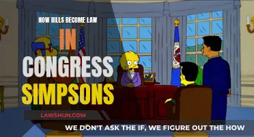 Understanding Lawmaking: The Simpsons Congress Edition