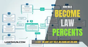 Understanding the Lawmaking Process: Bills to Laws