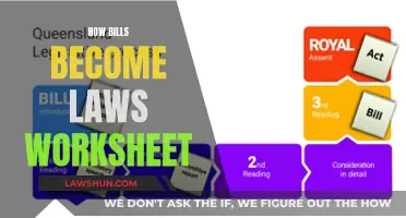 Understanding the Legislative Process: Bills to Laws