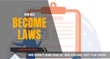 Understanding the Process: Bills to Laws