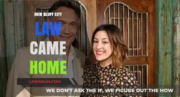Bluff City Law's Homecoming: A Story of Justice and Triumph