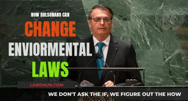 Bolsonaro's Environmental Legacy: Changing Brazil's Green Future
