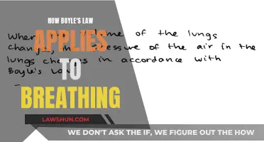 Breathing and Boyle's Law: Understanding the Connection