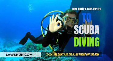 Boyle's Law: Understanding Scuba Diving Mechanics