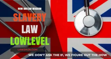 Unveiling the Hidden Chains: Britain's Modern Slavery Law Exposed