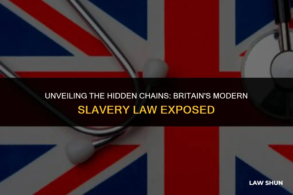 how britain modern slavery law lowlevel