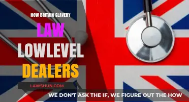 Unveiling the Hidden Chains: Britain's Slavery Law and Low-Level Dealers