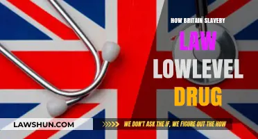 Unveiling the Hidden Chains: Britain's Slavery Law and Low-Level Drug Offenses