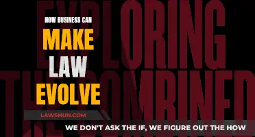 Business Innovation: Forcing Legal Evolution