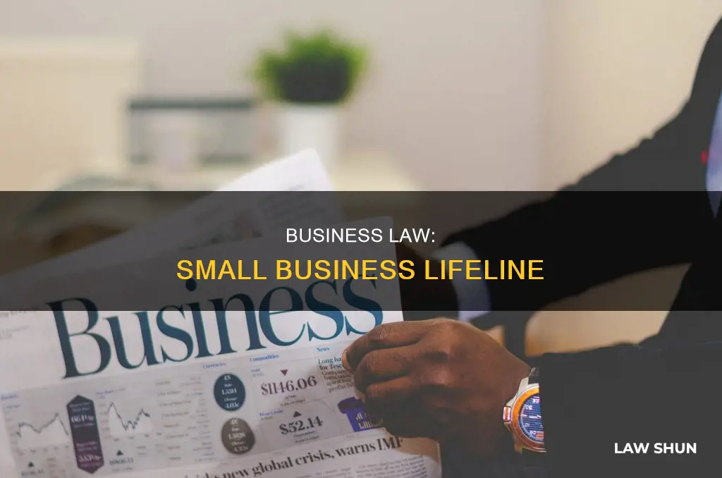 how business law can help a small business survive
