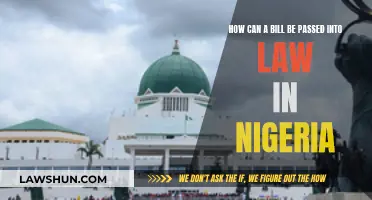 The Journey of a Bill: Nigerian Laws