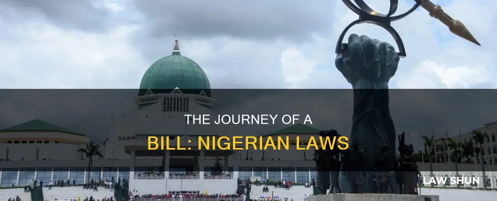 how can a bill be passed into law in nigeria