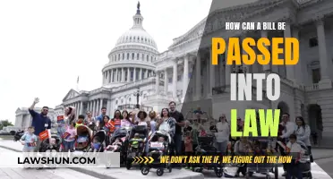 The Legislative Journey: Bill to Law