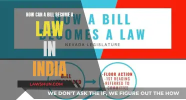Understanding India's Lawmaking Process: Bills to Acts