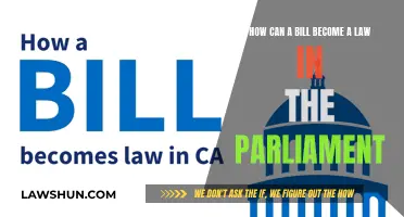 Understanding the Passage of Bills in Parliament