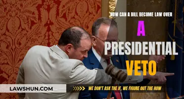 Veto Power: How Congress Turns Bills into Laws