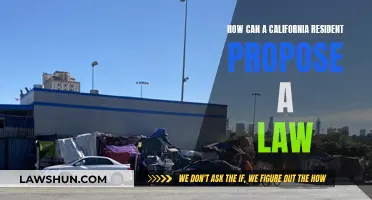 Proposing a Law: A California Resident's Guide