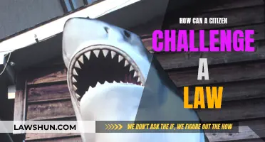 Challenging Laws: A Citizen's Guide