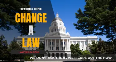 Changing Laws: A Citizen's Guide to Power