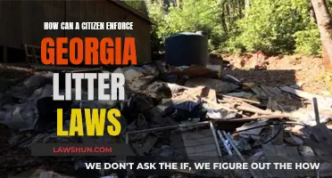 Georgia's Litter Laws: Citizen's Power to Take Action