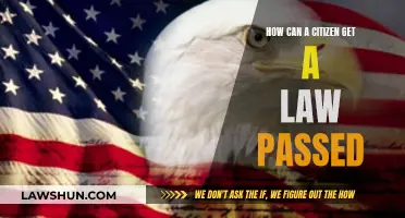 Taking Action: Getting Your Law Passed