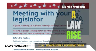 Engaging Citizens: Making Laws Work