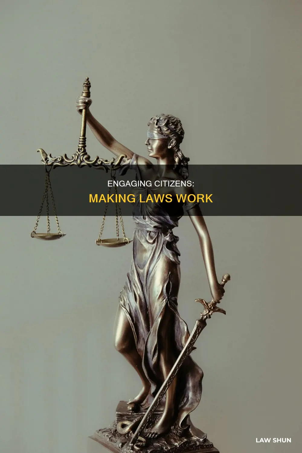how can a citizen make a law rise