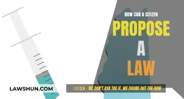 Proposing Laws: Citizen's Power and Process