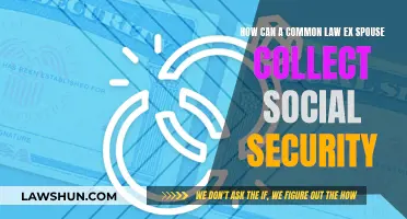 Understanding Social Security Benefits for Common-Law Spouses