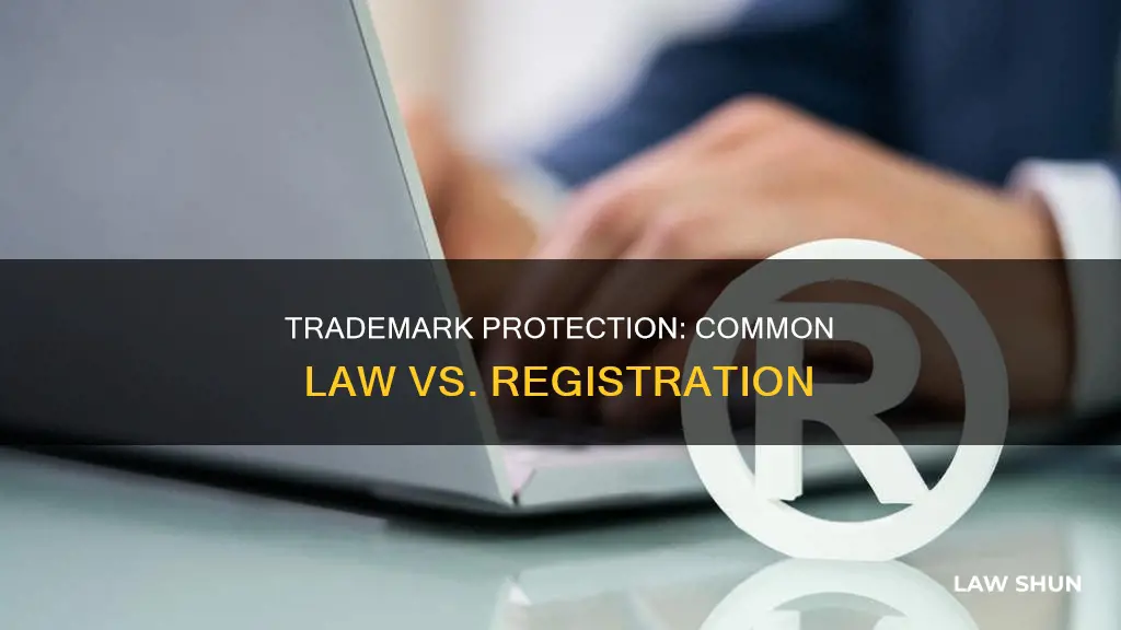 how can a common law trademark protect me