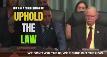 Congressman's Duty: Upholding Law or Personal Agenda?
