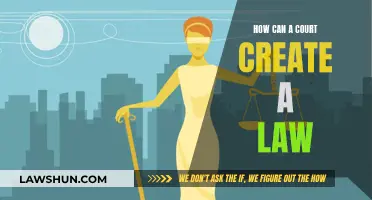 The Court's Power: Creating Laws