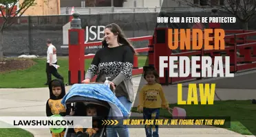 Protecting the Unborn: Federal Law and Fetal Rights